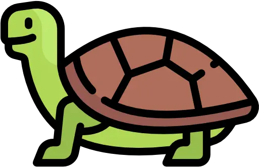 Turtle Free Animals Icons Caricatura Imágenes De Tortuga Png Turtle Icon Png
