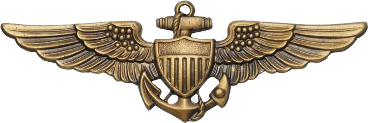 Usmc Naval Aviator Wings Regualtion Navy Png Pilot Wings Png