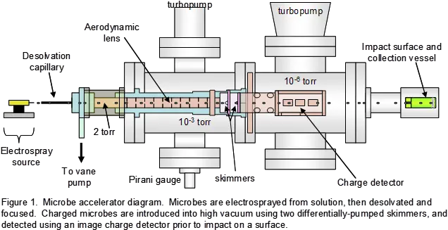 High Velocity Impacts Of Bacteria Spores Chemistry Diagram Png Bacteria Transparent Background