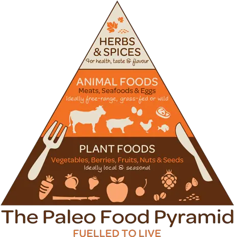 Healthy Fast Food East Paleo Snacks Instead Diet Eats Hunter Gatherer Food Pyramid Png Food Pyramid Png png