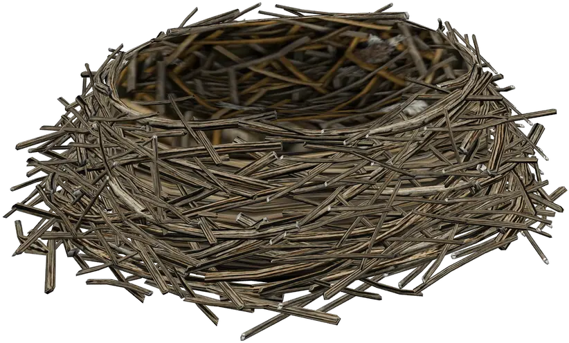 Birds Nest Psd Official Psds Transparent Birds Nest Png Nest Png