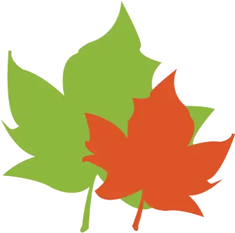 Welcome To The Leaf Pack Network Lovely Png Maple Leaf Icon