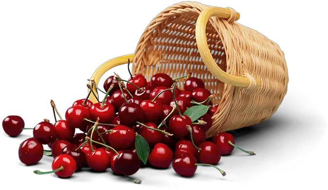 Marbery Organic Cerezas En Canasta Png Cherries Png