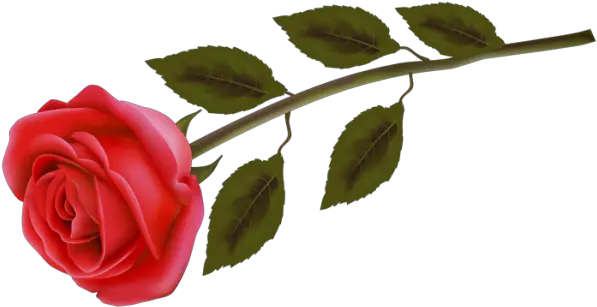 Rosas Rojas Png Para Photoshop Heart With Three Roses Rosas Rojas Png