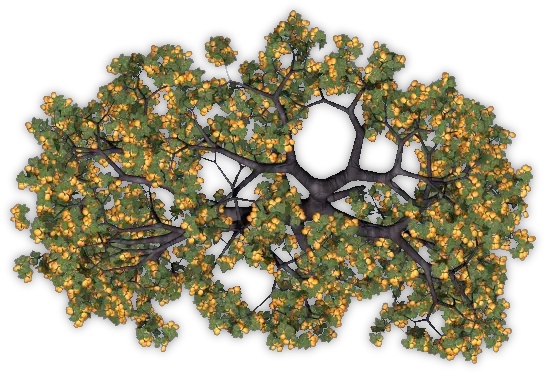 Dundjinni Mapping Software Forums Apricot Trees Camomile Png Trees Top View Png