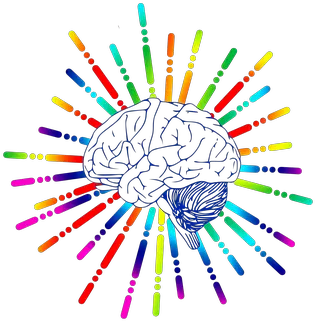 100 Free Brain Icon U0026 Images Science Of Curiosity Png Mind Control Icon