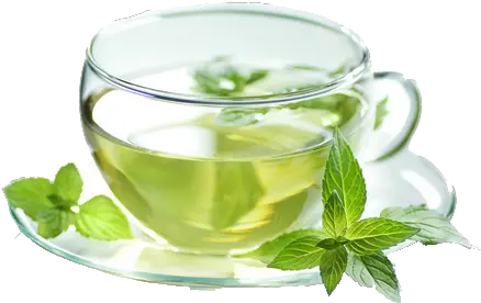 Green Tea Png Transparent Images Free Download