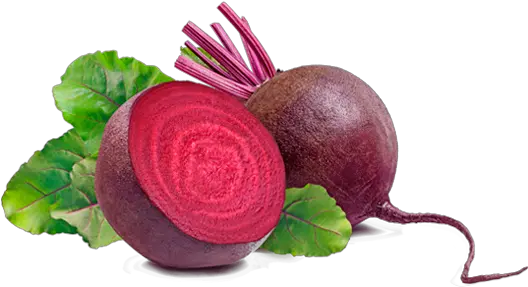 Beet Png Beet Png Beet Png