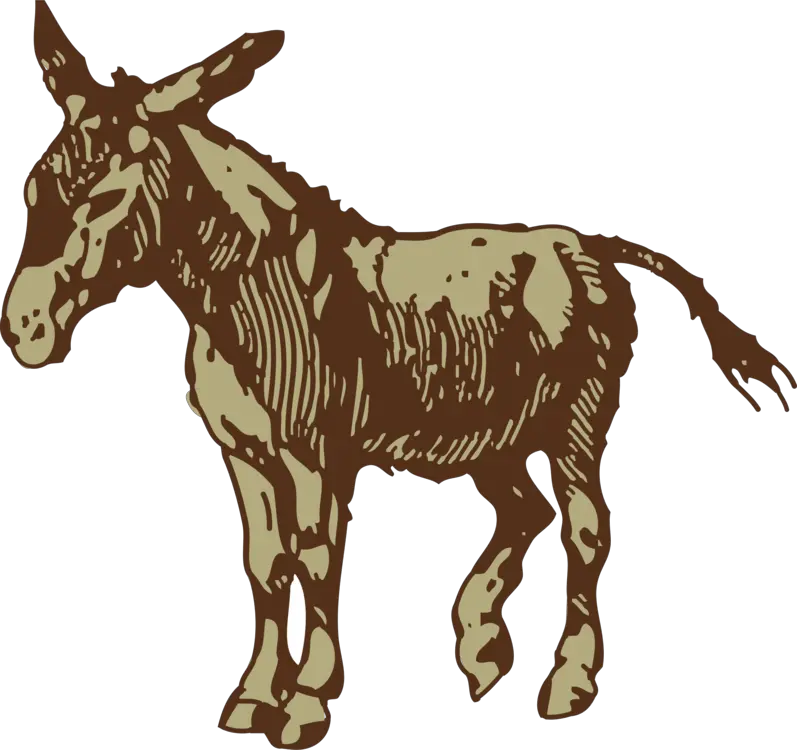 Donkey Brown Animal Mammal Transparent Donkey Svg Free Png Donkey Transparent