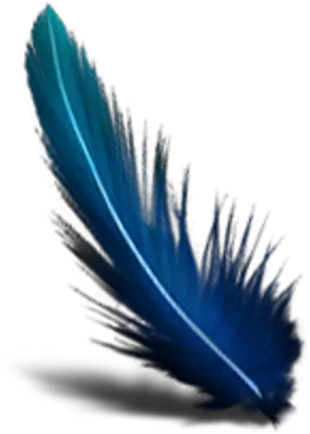 Blue Feather Transparent Background Green Feather Transparent Background Png Feather Transparent Background