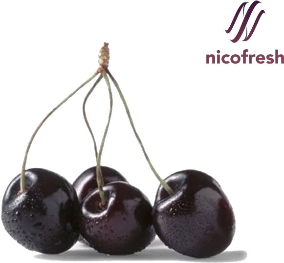 Download Black Cherry Hq Png Image Freepngimg Transparent Black Cherry Png Cherries Png