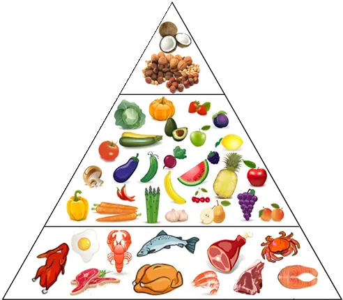 Paleo Diet For Beginners Healthy Eating Pyramid Transparent Png Food Pyramid Png