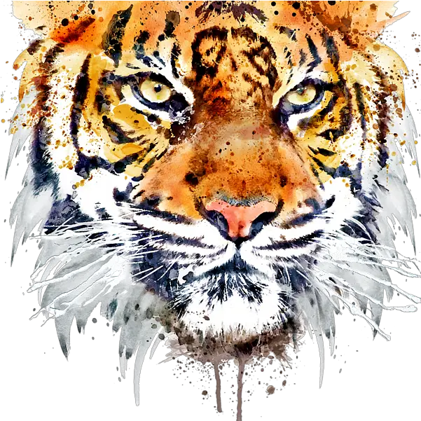 Tiger Face Png Image Hd Transparent Close Up Tiger Face Tiger Face Png