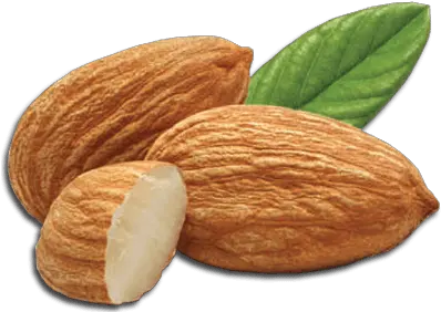 Bowl Of Almonds Transparent Png Almond Png Almonds Png