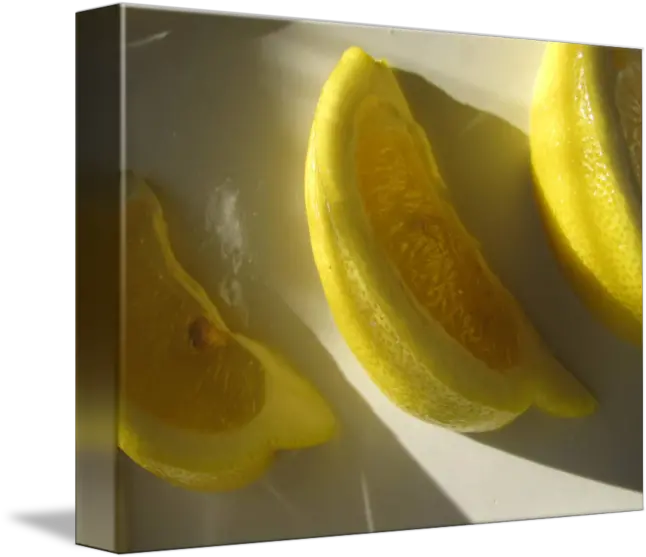 Lemon Slice By Lindie Racz Meyer Lemon Png Lemon Slice Png