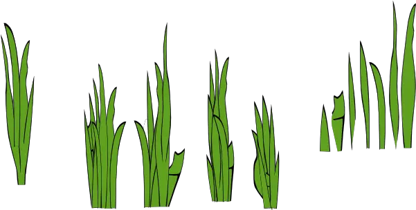 Grass Blades And Clumps Clip Art Vector Clip Blade Of Grass Cartoon Png Grass Transparent