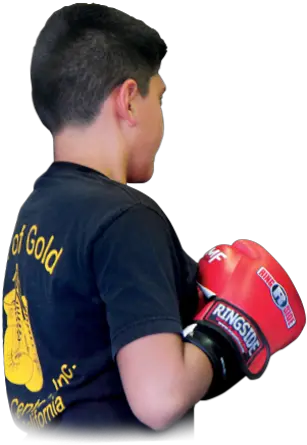 Welcome To Fist Of Gold Youth Center Inc Giving Kids A Boxing Glove Png Boxing Png