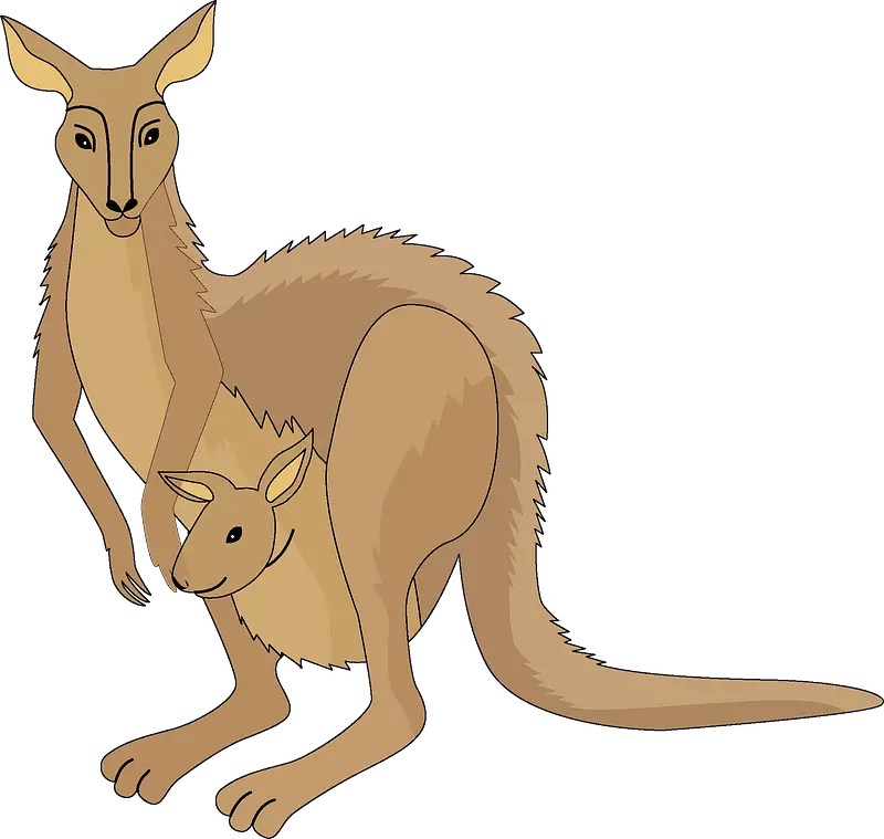 Kangaroo Clipart Free Download In Png Or Vector Format Kangaroo Kangaroo Png