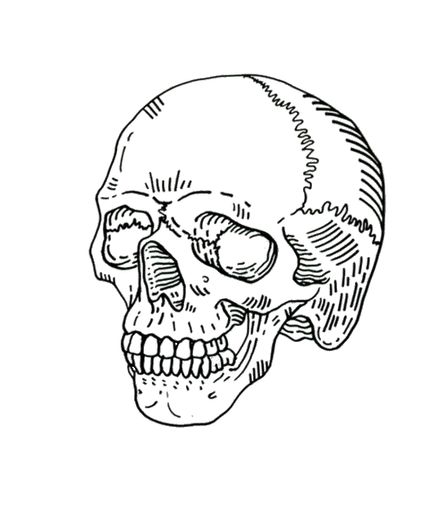 Outline Drawing Grim Reaper Skull Transparent Full Size Skull Line Art Png Grim Reaper Transparent