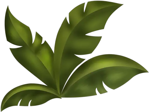 Arana Kits Scrap Jungle Tree Leaf Clipart Png Jungle Leaves Png