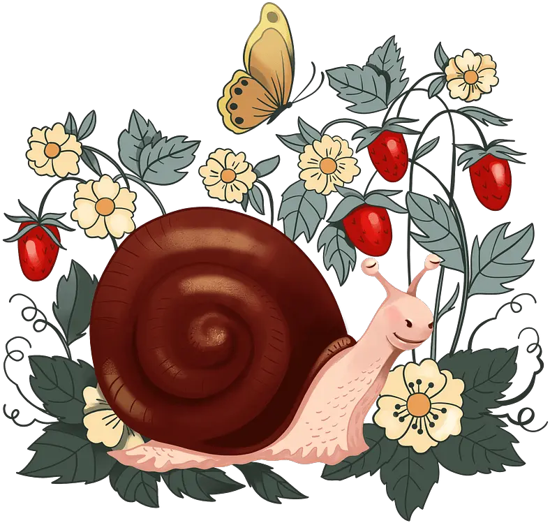 Snail And Strawberry Clipart Free Download Transparent Png Snail Snail Png