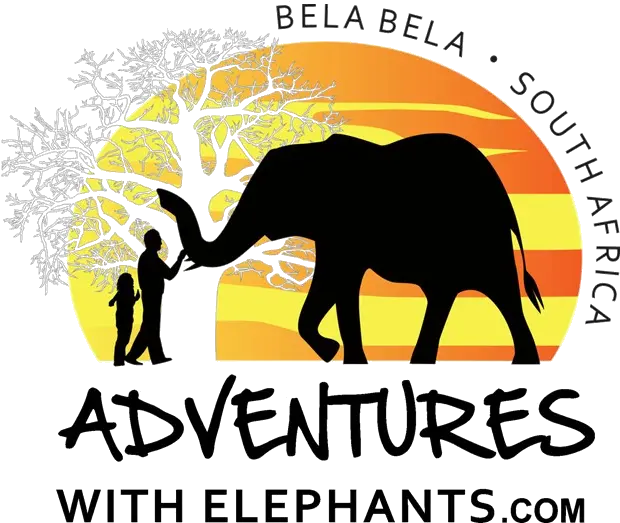 Our Reserve U2014 Adventures With Elephants Adventures With Elephants Png Elephant Silhouette Png