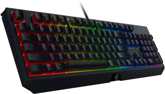 Razer Blackwidow Review An Awesome Gaming Keyboard That Won Keyboard Razer Blackwidow 2019 Png Black Widow Transparent Background