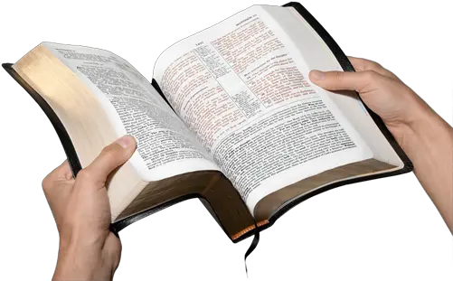 Reading Bible Hand Holding Open Bible Png Bible Png