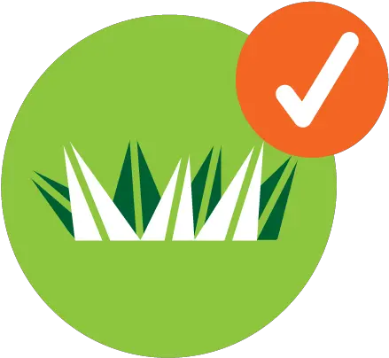 Fertilization Weed Control Insect Disease Vertical Png Lawn Icon
