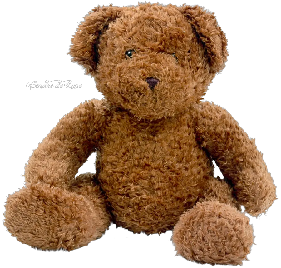 Bear Doll Png Image Teddy Bear Transparent Background Doll Png