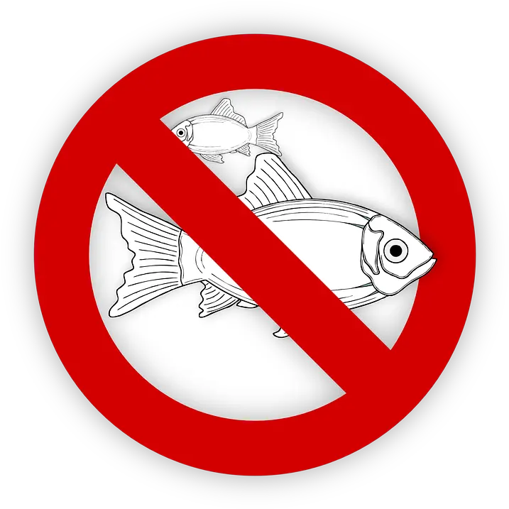 Fish Allergy Food No Free Vector Graphic On Pixabay Angel Tube Station Png Fish Icon Png