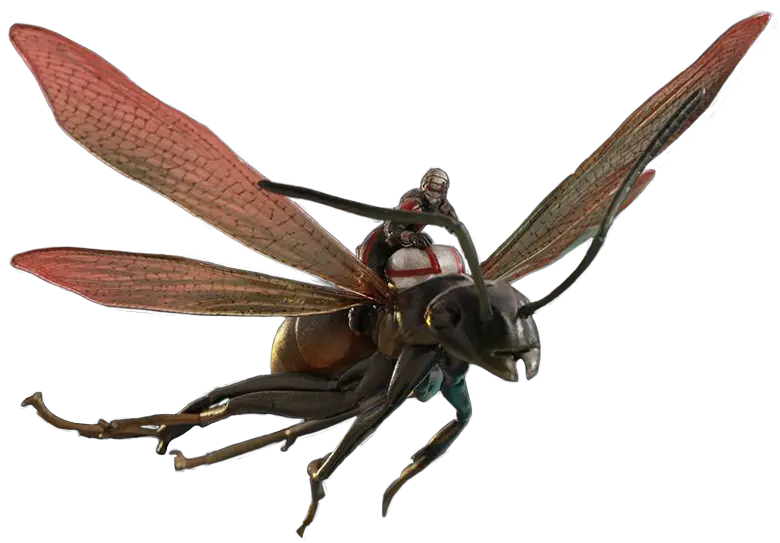 Ant Ant Man And The Wasp Png Antman Png