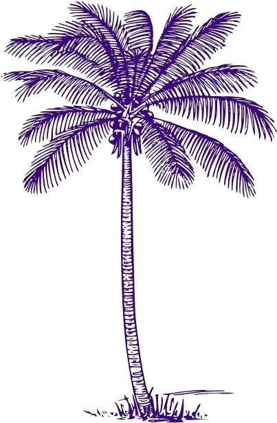 Palm Tree Png Svg Clip Art For Web Coconut Tree Clip Art Palm Tree Icon