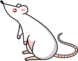 How To Inform Your Kids Cartoon Png Rats Png