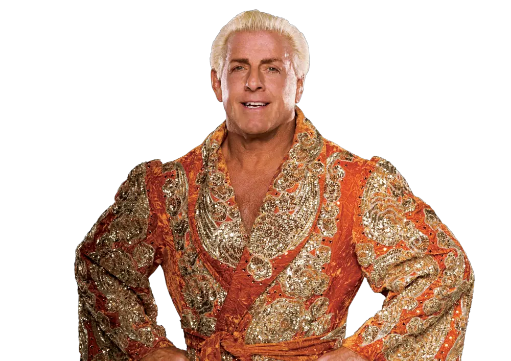 Ric Flair Cut Out Png Image Ric Flair Cut Out Flair Png