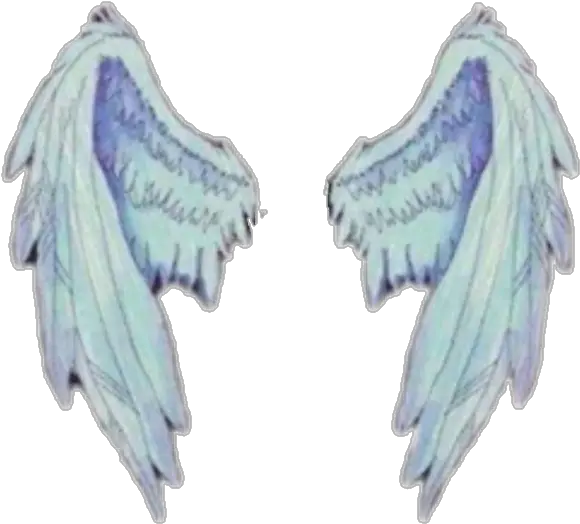 Wings Wings Png Angle Wings Png