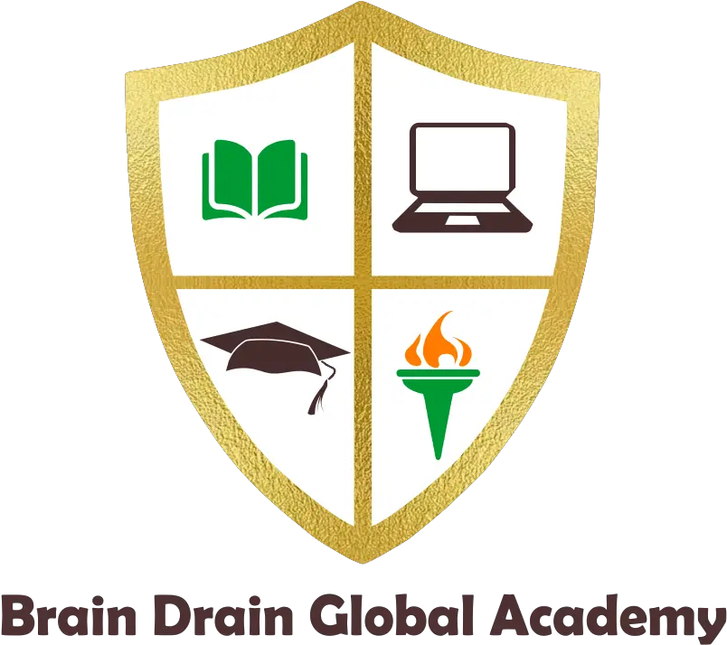 Ceo Brain Drain Global Academy Png Icon