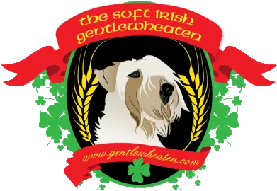 The Soft Irish Gentlewheaten Coated Wheaten Terrier Png Jameson Logos