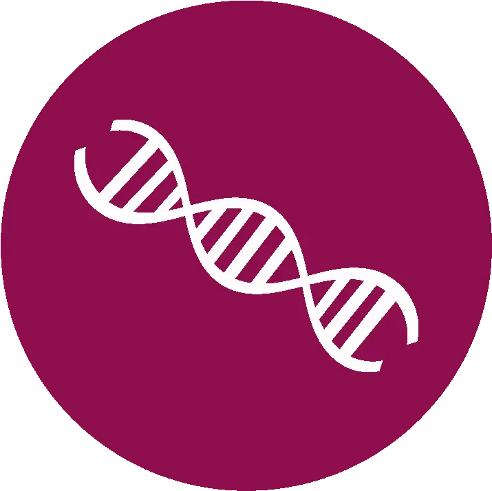 Download Dna Icon Png Image With No Dna Logo Png Dna Icon Transparent