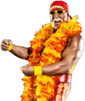 Hulk Hogan Hulk Hogan Png Hulk Hogan Transparent