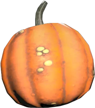 Pumpkin Fallout 76 Wiki Fandom Superfood Png Fallout 4 Honeycomb Icon