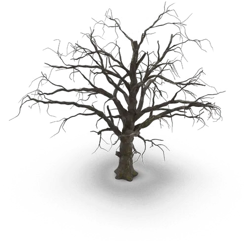 Spooky Tree Png Hd Mart Dry Bush Tree Branches Png