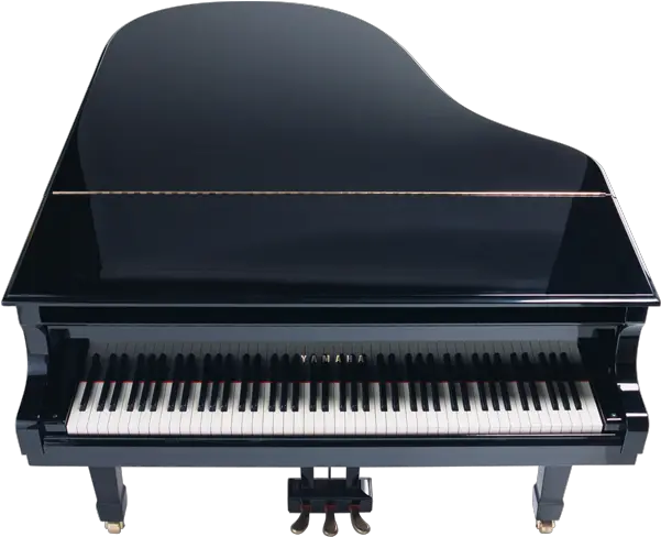 Grand Piano Transparent Clipar Piano Png Grand Piano Png