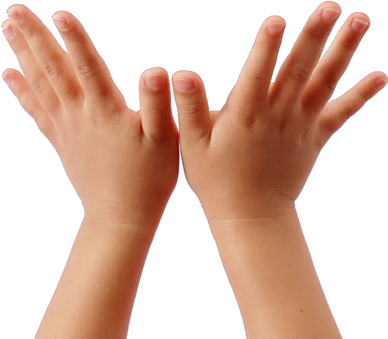 Child Hand Png Child Hands Clipart Hands Transparent