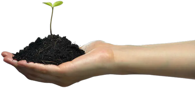 Gmos Healthy Soil Png Soil Png