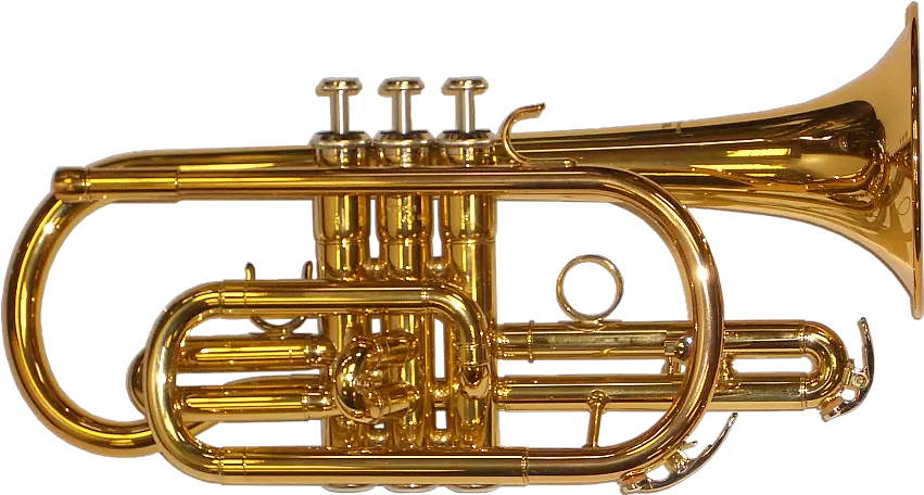 Brass Band Instrument Png Transparent Brass Instruments Png Instruments Png