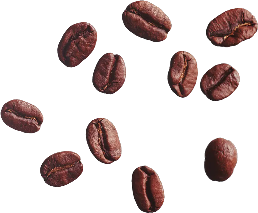 Download Coffee Bean Cafe Clip Art Coffee Bean Png Beans Transparent