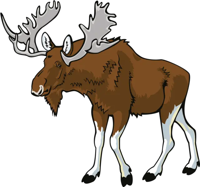 Moose Png Hd Clipart Moose Clipart Transparent Moose Png