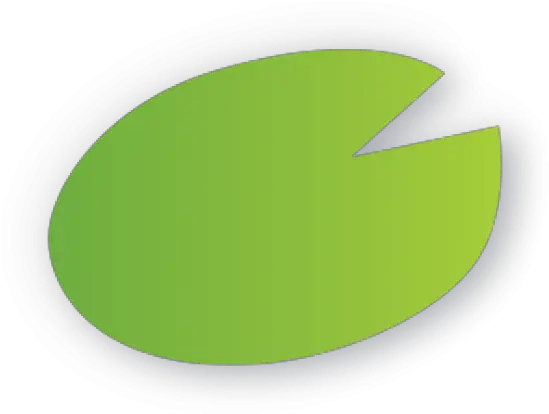 Lily Pad Leaf Clipart Circle Png Lily Pad Png