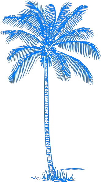 15 Palm Vector Png For Free Download Blue Palm Trees Png Palm Tree Clip Art Png